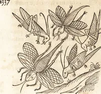 An illustration from Prodigiorvm ac ostentorvm chronicon : quae praeter naturae ordinem, motum, et operationem, et in svperioribus & his inferioribus mundi regionibus, ab exordio mundi usque ad haec nostra tempora, acciderunt ... (1557)