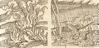Picture 58 of 990 from Prodigiorvm ac ostentorvm chronicon : quae praeter naturae ordinem, motum, et operationem, et in svperioribus & his inferioribus mundi regionibus, ab exordio mundi usque ad haec nostra tempora, acciderunt ... (1557), leaf 47