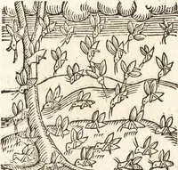An illustration from Prodigiorvm ac ostentorvm chronicon : quae praeter naturae ordinem, motum, et operationem, et in svperioribus & his inferioribus mundi regionibus, ab exordio mundi usque ad haec nostra tempora, acciderunt ... (1557)