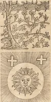 An illustration from Prodigiorvm ac ostentorvm chronicon : quae praeter naturae ordinem, motum, et operationem, et in svperioribus & his inferioribus mundi regionibus, ab exordio mundi usque ad haec nostra tempora, acciderunt ... (1557)