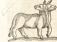 An illustration from Prodigiorvm ac ostentorvm chronicon : quae praeter naturae ordinem, motum, et operationem, et in svperioribus & his inferioribus mundi regionibus, ab exordio mundi usque ad haec nostra tempora, acciderunt ... (1557)
