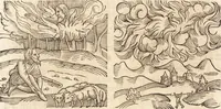 Picture 61 of 990 from Prodigiorvm ac ostentorvm chronicon : quae praeter naturae ordinem, motum, et operationem, et in svperioribus & his inferioribus mundi regionibus, ab exordio mundi usque ad haec nostra tempora, acciderunt ... (1557), leaf 49