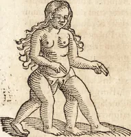 An illustration from Prodigiorvm ac ostentorvm chronicon : quae praeter naturae ordinem, motum, et operationem, et in svperioribus & his inferioribus mundi regionibus, ab exordio mundi usque ad haec nostra tempora, acciderunt ... (1557)