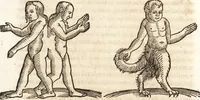 An illustration from Prodigiorvm ac ostentorvm chronicon : quae praeter naturae ordinem, motum, et operationem, et in svperioribus & his inferioribus mundi regionibus, ab exordio mundi usque ad haec nostra tempora, acciderunt ... (1557)