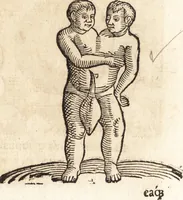 An illustration from Prodigiorvm ac ostentorvm chronicon : quae praeter naturae ordinem, motum, et operationem, et in svperioribus & his inferioribus mundi regionibus, ab exordio mundi usque ad haec nostra tempora, acciderunt ... (1557)
