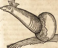 An illustration from Prodigiorvm ac ostentorvm chronicon : quae praeter naturae ordinem, motum, et operationem, et in svperioribus & his inferioribus mundi regionibus, ab exordio mundi usque ad haec nostra tempora, acciderunt ... (1557)