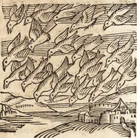 An illustration from Prodigiorvm ac ostentorvm chronicon : quae praeter naturae ordinem, motum, et operationem, et in svperioribus & his inferioribus mundi regionibus, ab exordio mundi usque ad haec nostra tempora, acciderunt ... (1557)