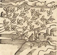 Picture 64 of 990 from Prodigiorvm ac ostentorvm chronicon : quae praeter naturae ordinem, motum, et operationem, et in svperioribus & his inferioribus mundi regionibus, ab exordio mundi usque ad haec nostra tempora, acciderunt ... (1557), leaf 51