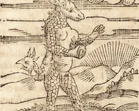An illustration from Prodigiorvm ac ostentorvm chronicon : quae praeter naturae ordinem, motum, et operationem, et in svperioribus & his inferioribus mundi regionibus, ab exordio mundi usque ad haec nostra tempora, acciderunt ... (1557)