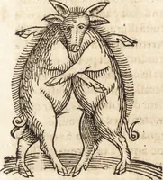 An illustration from Prodigiorvm ac ostentorvm chronicon : quae praeter naturae ordinem, motum, et operationem, et in svperioribus & his inferioribus mundi regionibus, ab exordio mundi usque ad haec nostra tempora, acciderunt ... (1557)