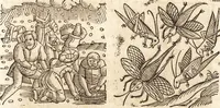 Picture 66 of 990 from Prodigiorvm ac ostentorvm chronicon : quae praeter naturae ordinem, motum, et operationem, et in svperioribus & his inferioribus mundi regionibus, ab exordio mundi usque ad haec nostra tempora, acciderunt ... (1557), leaf 52