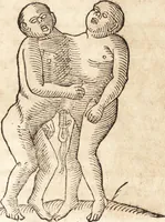 An illustration from Prodigiorvm ac ostentorvm chronicon : quae praeter naturae ordinem, motum, et operationem, et in svperioribus & his inferioribus mundi regionibus, ab exordio mundi usque ad haec nostra tempora, acciderunt ... (1557)