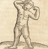 An illustration from Prodigiorvm ac ostentorvm chronicon : quae praeter naturae ordinem, motum, et operationem, et in svperioribus & his inferioribus mundi regionibus, ab exordio mundi usque ad haec nostra tempora, acciderunt ... (1557)