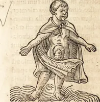 An illustration from Prodigiorvm ac ostentorvm chronicon : quae praeter naturae ordinem, motum, et operationem, et in svperioribus & his inferioribus mundi regionibus, ab exordio mundi usque ad haec nostra tempora, acciderunt ... (1557)