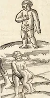 An illustration from Prodigiorvm ac ostentorvm chronicon : quae praeter naturae ordinem, motum, et operationem, et in svperioribus & his inferioribus mundi regionibus, ab exordio mundi usque ad haec nostra tempora, acciderunt ... (1557)