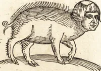 An illustration from Prodigiorvm ac ostentorvm chronicon : quae praeter naturae ordinem, motum, et operationem, et in svperioribus & his inferioribus mundi regionibus, ab exordio mundi usque ad haec nostra tempora, acciderunt ... (1557)