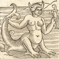 An illustration from Prodigiorvm ac ostentorvm chronicon : quae praeter naturae ordinem, motum, et operationem, et in svperioribus & his inferioribus mundi regionibus, ab exordio mundi usque ad haec nostra tempora, acciderunt ... (1557)