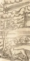 An illustration from Prodigiorvm ac ostentorvm chronicon : quae praeter naturae ordinem, motum, et operationem, et in svperioribus & his inferioribus mundi regionibus, ab exordio mundi usque ad haec nostra tempora, acciderunt ... (1557)