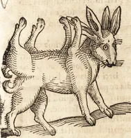 An illustration from Prodigiorvm ac ostentorvm chronicon : quae praeter naturae ordinem, motum, et operationem, et in svperioribus & his inferioribus mundi regionibus, ab exordio mundi usque ad haec nostra tempora, acciderunt ... (1557)