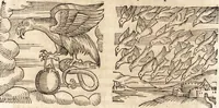 An illustration from Prodigiorvm ac ostentorvm chronicon : quae praeter naturae ordinem, motum, et operationem, et in svperioribus & his inferioribus mundi regionibus, ab exordio mundi usque ad haec nostra tempora, acciderunt ... (1557)