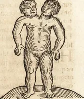 An illustration from Prodigiorvm ac ostentorvm chronicon : quae praeter naturae ordinem, motum, et operationem, et in svperioribus & his inferioribus mundi regionibus, ab exordio mundi usque ad haec nostra tempora, acciderunt ... (1557)