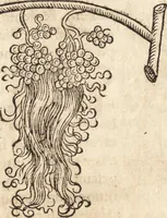 An illustration from Prodigiorvm ac ostentorvm chronicon : quae praeter naturae ordinem, motum, et operationem, et in svperioribus & his inferioribus mundi regionibus, ab exordio mundi usque ad haec nostra tempora, acciderunt ... (1557)