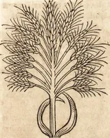 An illustration from Prodigiorvm ac ostentorvm chronicon : quae praeter naturae ordinem, motum, et operationem, et in svperioribus & his inferioribus mundi regionibus, ab exordio mundi usque ad haec nostra tempora, acciderunt ... (1557)