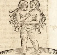 An illustration from Prodigiorvm ac ostentorvm chronicon : quae praeter naturae ordinem, motum, et operationem, et in svperioribus & his inferioribus mundi regionibus, ab exordio mundi usque ad haec nostra tempora, acciderunt ... (1557)