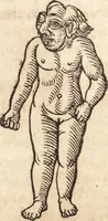 An illustration from Prodigiorvm ac ostentorvm chronicon : quae praeter naturae ordinem, motum, et operationem, et in svperioribus & his inferioribus mundi regionibus, ab exordio mundi usque ad haec nostra tempora, acciderunt ... (1557)