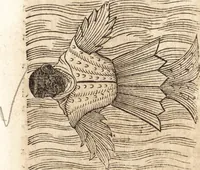 An illustration from Prodigiorvm ac ostentorvm chronicon : quae praeter naturae ordinem, motum, et operationem, et in svperioribus & his inferioribus mundi regionibus, ab exordio mundi usque ad haec nostra tempora, acciderunt ... (1557)
