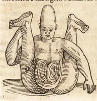 An illustration from Prodigiorvm ac ostentorvm chronicon : quae praeter naturae ordinem, motum, et operationem, et in svperioribus & his inferioribus mundi regionibus, ab exordio mundi usque ad haec nostra tempora, acciderunt ... (1557)