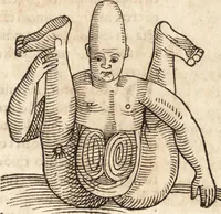 An illustration from Prodigiorvm ac ostentorvm chronicon : quae praeter naturae ordinem, motum, et operationem, et in svperioribus & his inferioribus mundi regionibus, ab exordio mundi usque ad haec nostra tempora, acciderunt ... (1557)