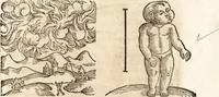 An illustration from Prodigiorvm ac ostentorvm chronicon : quae praeter naturae ordinem, motum, et operationem, et in svperioribus & his inferioribus mundi regionibus, ab exordio mundi usque ad haec nostra tempora, acciderunt ... (1557)