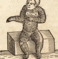 An illustration from Prodigiorvm ac ostentorvm chronicon : quae praeter naturae ordinem, motum, et operationem, et in svperioribus & his inferioribus mundi regionibus, ab exordio mundi usque ad haec nostra tempora, acciderunt ... (1557)