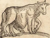 An illustration from Prodigiorvm ac ostentorvm chronicon : quae praeter naturae ordinem, motum, et operationem, et in svperioribus & his inferioribus mundi regionibus, ab exordio mundi usque ad haec nostra tempora, acciderunt ... (1557)
