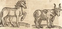 An illustration from Prodigiorvm ac ostentorvm chronicon : quae praeter naturae ordinem, motum, et operationem, et in svperioribus & his inferioribus mundi regionibus, ab exordio mundi usque ad haec nostra tempora, acciderunt ... (1557)