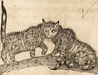 An illustration from Prodigiorvm ac ostentorvm chronicon : quae praeter naturae ordinem, motum, et operationem, et in svperioribus & his inferioribus mundi regionibus, ab exordio mundi usque ad haec nostra tempora, acciderunt ... (1557)