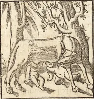 Picture 88 of 990 from Prodigiorvm ac ostentorvm chronicon : quae praeter naturae ordinem, motum, et operationem, et in svperioribus & his inferioribus mundi regionibus, ab exordio mundi usque ad haec nostra tempora, acciderunt ... (1557), leaf 64