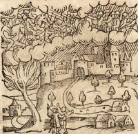 An illustration from Prodigiorvm ac ostentorvm chronicon : quae praeter naturae ordinem, motum, et operationem, et in svperioribus & his inferioribus mundi regionibus, ab exordio mundi usque ad haec nostra tempora, acciderunt ... (1557)