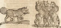 An illustration from Prodigiorvm ac ostentorvm chronicon : quae praeter naturae ordinem, motum, et operationem, et in svperioribus & his inferioribus mundi regionibus, ab exordio mundi usque ad haec nostra tempora, acciderunt ... (1557)