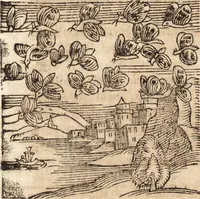 An illustration from Prodigiorvm ac ostentorvm chronicon : quae praeter naturae ordinem, motum, et operationem, et in svperioribus & his inferioribus mundi regionibus, ab exordio mundi usque ad haec nostra tempora, acciderunt ... (1557)