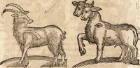 An illustration from Prodigiorvm ac ostentorvm chronicon : quae praeter naturae ordinem, motum, et operationem, et in svperioribus & his inferioribus mundi regionibus, ab exordio mundi usque ad haec nostra tempora, acciderunt ... (1557)