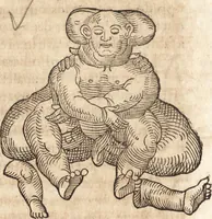 An illustration from Prodigiorvm ac ostentorvm chronicon : quae praeter naturae ordinem, motum, et operationem, et in svperioribus & his inferioribus mundi regionibus, ab exordio mundi usque ad haec nostra tempora, acciderunt ... (1557)