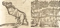 An illustration from Prodigiorvm ac ostentorvm chronicon : quae praeter naturae ordinem, motum, et operationem, et in svperioribus & his inferioribus mundi regionibus, ab exordio mundi usque ad haec nostra tempora, acciderunt ... (1557)