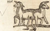 An illustration from Prodigiorvm ac ostentorvm chronicon : quae praeter naturae ordinem, motum, et operationem, et in svperioribus & his inferioribus mundi regionibus, ab exordio mundi usque ad haec nostra tempora, acciderunt ... (1557)