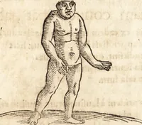 An illustration from Prodigiorvm ac ostentorvm chronicon : quae praeter naturae ordinem, motum, et operationem, et in svperioribus & his inferioribus mundi regionibus, ab exordio mundi usque ad haec nostra tempora, acciderunt ... (1557)