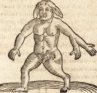 An illustration from Prodigiorvm ac ostentorvm chronicon : quae praeter naturae ordinem, motum, et operationem, et in svperioribus & his inferioribus mundi regionibus, ab exordio mundi usque ad haec nostra tempora, acciderunt ... (1557)