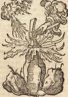 An illustration from Prodigiorvm ac ostentorvm chronicon : quae praeter naturae ordinem, motum, et operationem, et in svperioribus & his inferioribus mundi regionibus, ab exordio mundi usque ad haec nostra tempora, acciderunt ... (1557)