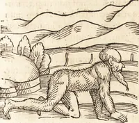 Picture 102 of 990 from Prodigiorvm ac ostentorvm chronicon : quae praeter naturae ordinem, motum, et operationem, et in svperioribus & his inferioribus mundi regionibus, ab exordio mundi usque ad haec nostra tempora, acciderunt ... (1557), leaf 72