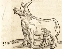 An illustration from Prodigiorvm ac ostentorvm chronicon : quae praeter naturae ordinem, motum, et operationem, et in svperioribus & his inferioribus mundi regionibus, ab exordio mundi usque ad haec nostra tempora, acciderunt ... (1557)